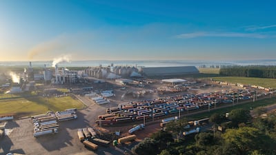 La industrialización abre nuevas oportunidades para el sector agropecuario y el desarrollo del país.