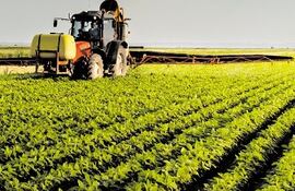 Alistan inicio de campaña sojera 2025/26 con perspectivas alentadoras.