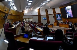 Sesión de la cámara de diputados en el congreso nacional.