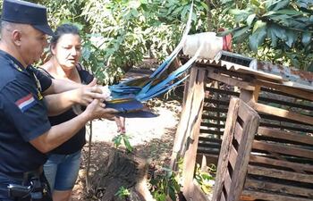 Guacamayo rescatado: investiga circunstancias del hecho mientras gestionan recuperación del animal en peligro de extinción.