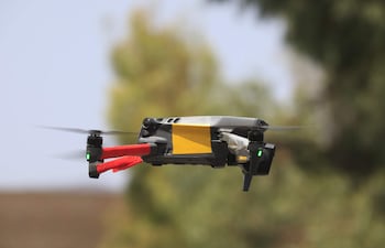 Los drones se han usado para distintos fines en los últimos años, desde fines bélicos hasta entretenimiento. Ahora, Taiwán plantea un uso para beneficio del agro.