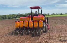 Los productores de las diferentes organizaciones se encuentran trabajando en la siembra en sus respectivas fincas