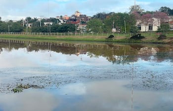 Paisaje natural tranquilo con agua y vegetación, sin personas visibles en un día parcialmente nublado.
