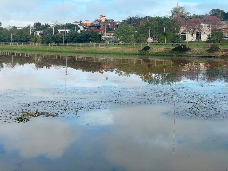 Paisaje natural tranquilo con agua y vegetación, sin personas visibles en un día parcialmente nublado.