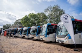 Exhibición de autobuses Volkswagen en un evento al aire libre con árboles de fondo y marquesina visible.