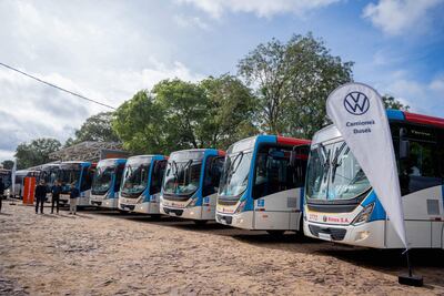 Exhibición de autobuses Volkswagen en un evento al aire libre con árboles de fondo y marquesina visible.