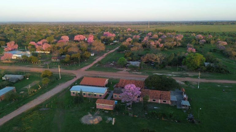 Asentamiento rural en Pase Mbutú con casas de un piso y árboles de flor rosada en un paisaje verde.