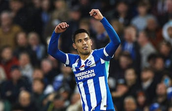 El jugador paraguayo, Diego Alexander Gómez Amarilla (22 años) del Brighton & Hove Albion F. C. de la Premier League de Inglaterra.