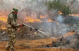 Numerosos voluntarios trabajaron arduamente por varios días en el Chaco.