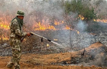 Numerosos voluntarios trabajaron arduamente por varios días en el Chaco.