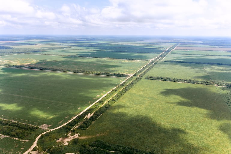 Grupo ALKA: De aliado estratégico a productor del Chaco
