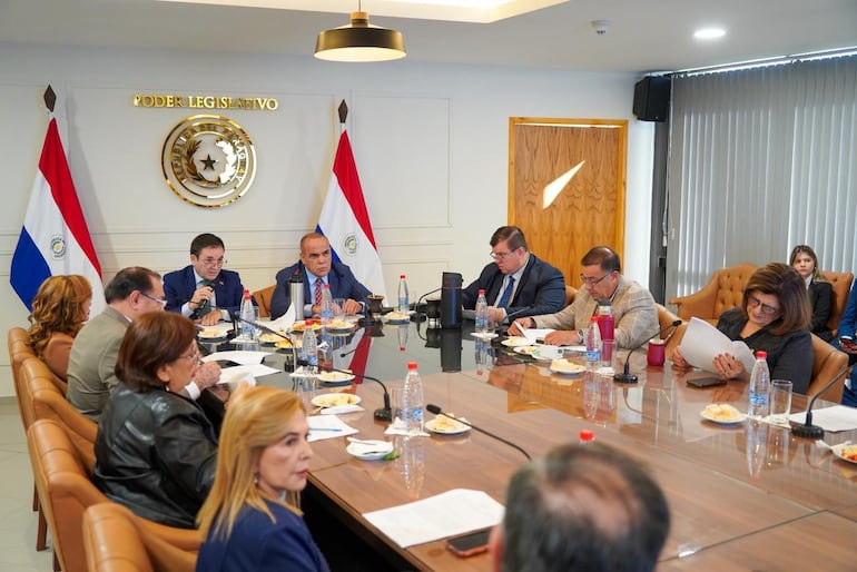 Senado tratará este miércoles plan cartista para habilitar a expresidentes como senadores activos