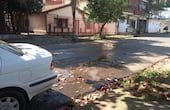 Pérdida de agua en Luque.