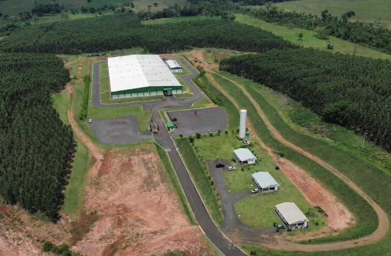 Vista aérea de un complejo industrial avícola con edificios metálicos rodeados de naturaleza y cultivos.