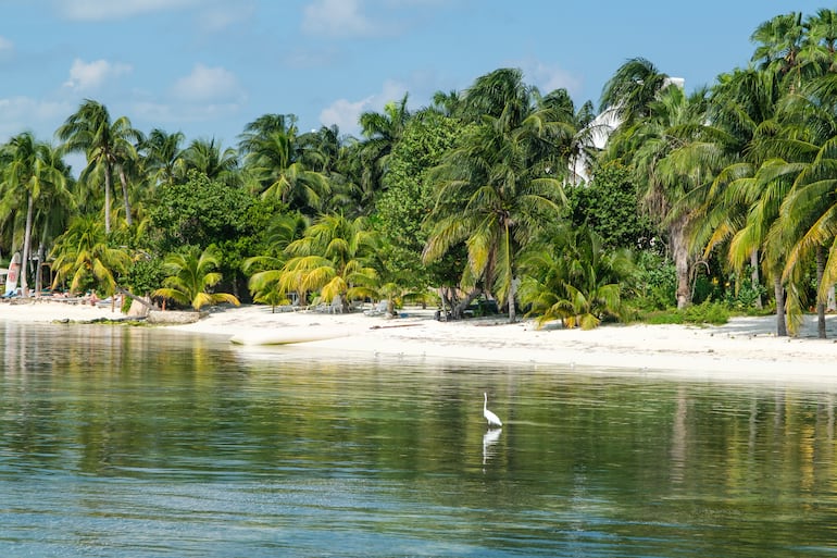 Isla Mujeres, Cancún, México.