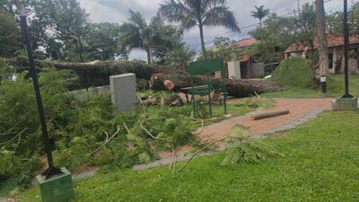 En la compañia Vera Costa de Caraguatay, las ráfagas derribaron árboles de gran porte y causaron cortes de energía.