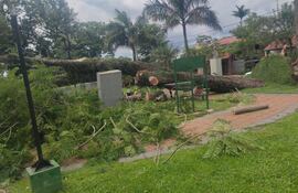 En la compañia Vera Costa de Caraguatay, las ráfagas derribaron árboles de gran porte y causaron cortes de energía.