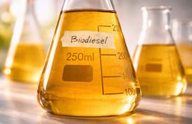 Desde la Biocap indican que Paraguay dispone de un cupo de 50.000 toneladas anuales de biodiésel de la asociación comercial UE-Mercosur.