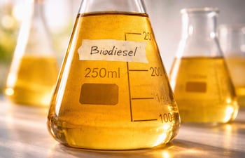 Desde la Biocap indican que Paraguay dispone de un cupo de 50.000 toneladas anuales de biodiésel de la asociación comercial UE-Mercosur.