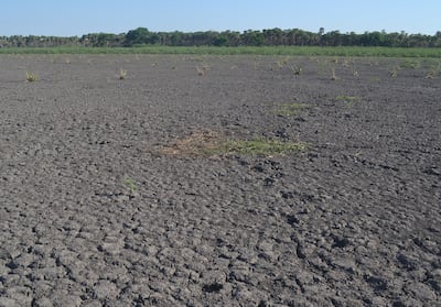 Imagen ilustrativa. Sequía