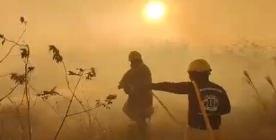 Bomberos combatieron por más de 4 horas el incendio al costado de la ruta Luque Sanber.