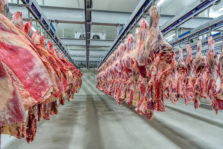 Un estudio de Conacom, publicado en diciembre de 2025, encontró que cuatro grupos concentraban el 75,5% de la faena analizada entre frigoríficos de exportación.