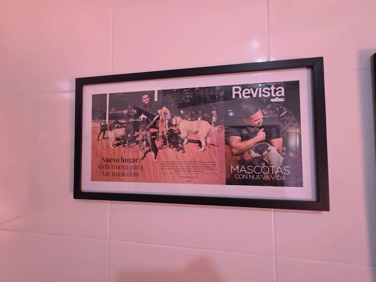 Tapa de la revista ABC sobre un agente policial que rescata perros y gatos para su adopción, resaltando su compromiso con el bienestar animal.