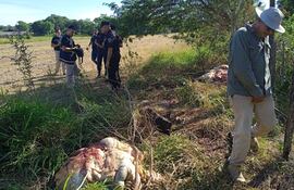 Agobia a ganaderos el hurto de sus animales.