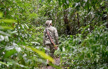 Esta fotografía tomada el 9 de junio de 2026 muestra al guardabosques Hou Sophoan mirando hacia arriba mientras escucha los sonidos de los animales en el Parque Nacional de Cardamomo, en la provincia de Koh Kong.