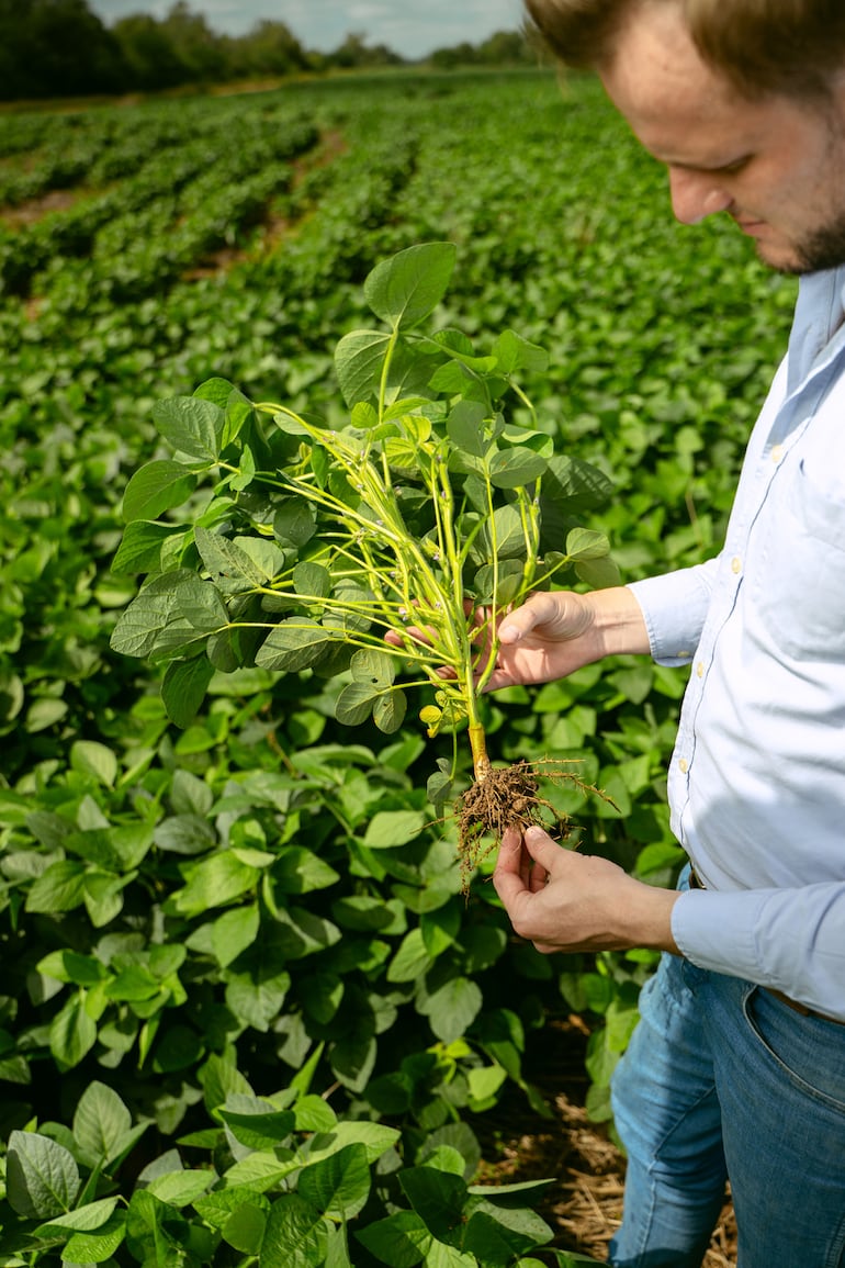 Grupo ALKA: De aliado estratégico a productor del Chaco