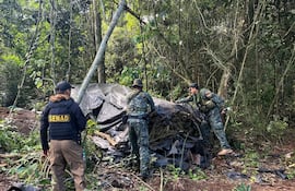 Militares del CODI y agentes especiales de la Senad destruyen la marihuana producida en la reserva Mbaracayú de Canindeyú.