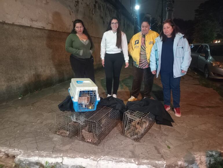 “A un amigo no se le abandona”: rescatistas se organizan ante llegada de El Niño “A un amigo no se le abandona”: rescatistas se organizan ante llegada de El Niño