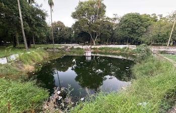 Estanque oscuro rodeado de vegetación descuidada y basura, sin personas visibles en un ambiente de abandono total.