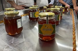 Los apicultores de Ñeembucú recibirán el sello de protección de Indicación Geográfica y Denominación de Origen (IG/DO) el próximo 29 de julio, convirtiéndose en los primeros productores del país en obtener esta distinción.