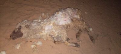 Santa Rosa, Misiones