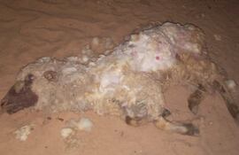 Santa Rosa, Misiones