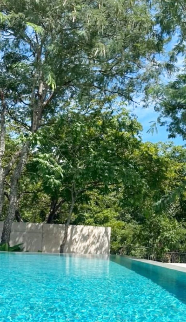 La construcción rodeada de una densa vegetación.