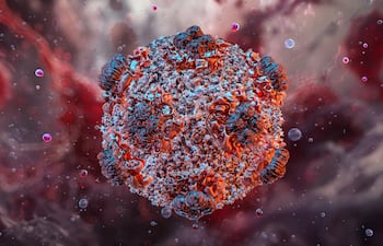 Estructura viral del hantavirus 3D, virus de ARN transmitido a los humanos a través de los excrementos de roedores, imagen ilustrativa.