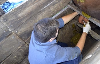La medición de la circunferencia escrotal es parte de las observaciones del test andrológico.