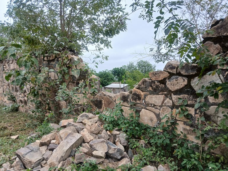 Muro de piedra vegetado y parcialmente derrumbado en el Fuerte de Borbón.