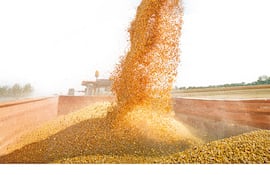 Soja: La resiliencia del productor que desafía al mercado