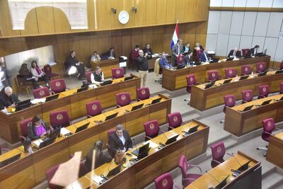 La Cámara de Senadores aprobó millonarios préstamos para la Ande.