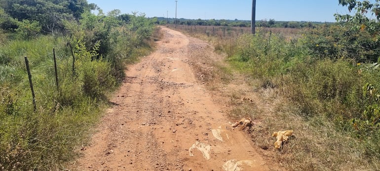 Piden una intervención urgente por parte de las autoridades para la reparación del camino.