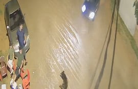 El vehículo iba a alta velocidad, impactó contra el perro y luego contra el adulto mayor.