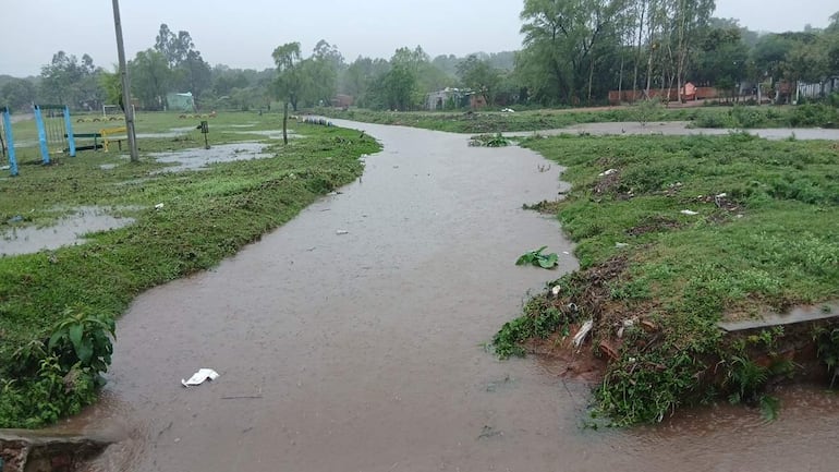 Paisaje natural inundado con agua fluyendo por terreno verde, rodeado de vegetación y desechos, bajo un cielo nublado.