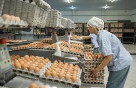 Nutrihuevos cuenta con las unidades de producción de huevos más modernas y automatizadas de Sudamérica.
