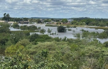Paisaje inundado con arbustos y edificaciones parcialmente sumergidas, reflejando la gravedad de las inundaciones en la región.