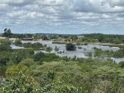 Paisaje inundado con arbustos y edificaciones parcialmente sumergidas, reflejando la gravedad de las inundaciones en la región.