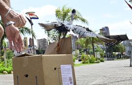 Momento que en ave fue puesta en libertad en la Costanera de Asunción.