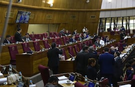 Diputados aprobaron jubilación disminuida para asegurados del IPS en su última sesión del año.